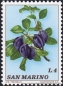 San Marino, 1031-40 **