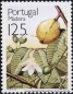 Madeira, 153-56 A **