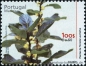 Madeira, 205-10 **