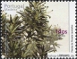 Madeira, 205-10 **