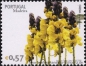 Madeira, 243-48 **