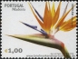 Madeira, 243-48 **