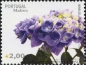 Madeira, 243-48 **