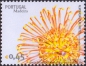 Madeira, 249-52 **