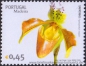 Madeira, 249-52 **