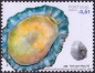 Madeira, 272-75 **