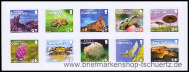 Guernsey, 1114-23 FB **